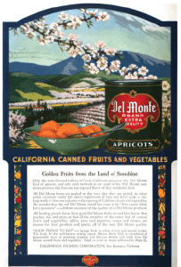 Del Monte advertisement showing bowl of apricots in front of mountain scene, 1918.