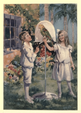 Illustration from Twin Travellers in South America by Mary H. Wade. Boy and girl outside house with parrot.