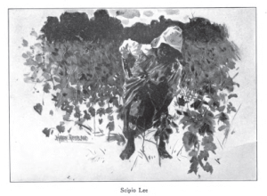 Illustration by Harry Roseland from Hazel by Mary White Ovington, captioned Scipio Lee. African-American boy in a field.