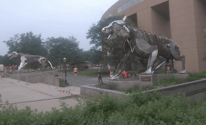 Tiger sculptures outside Palmer Stadium, Princeton University.