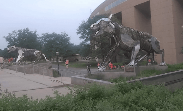 Tiger sculptures outside Palmer Stadium, Princeton University.