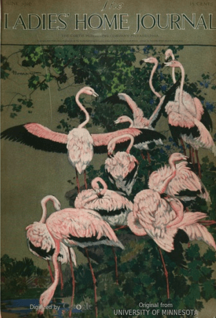 June 1916 Ladies' Home Journal cover depicting pink flamingos.