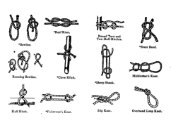Illustrations of knots from 1916 Girl Scout handbook.