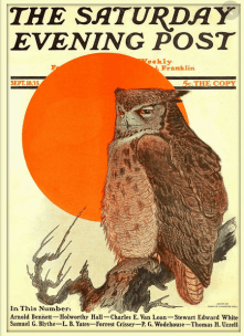 Saturday Evening Post cover, Charles Livingston Bull, September 18, 1915, owl in front of sun.