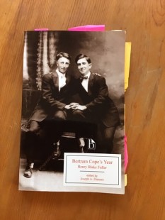 Photo of Bertram Cope's Year by Henry B. Fuller